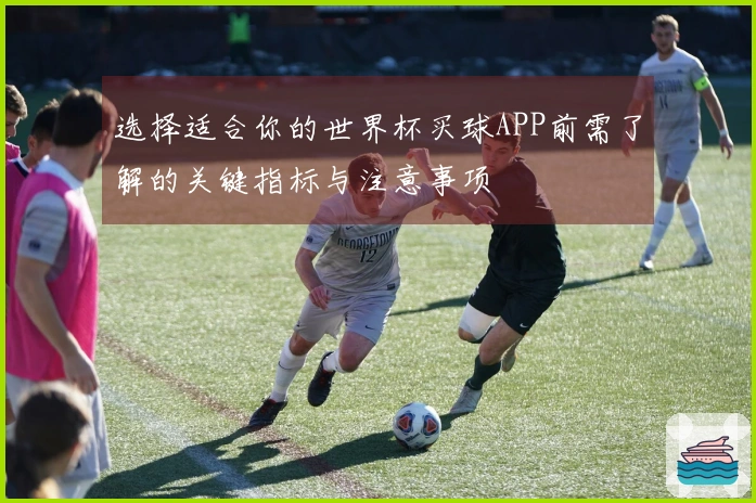 选择适合你的世界杯买球APP前需了解的关键指标与注意事项