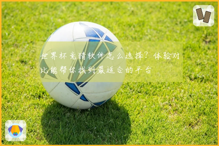 世界杯竞猜软件怎么选择？体验对比能帮你找到最适合的平台