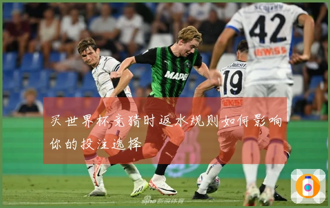买世界杯竞猜时返水规则如何影响你的投注选择