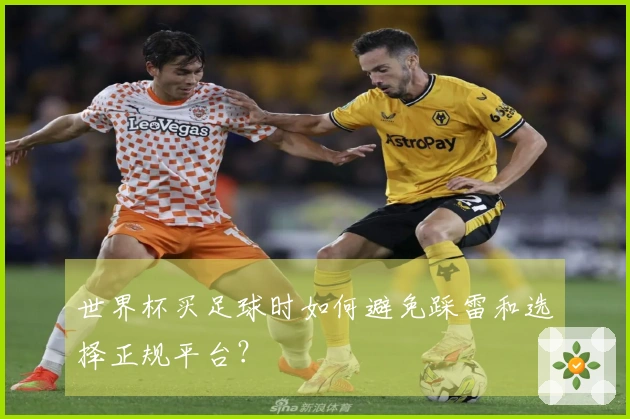 世界杯买足球时如何避免踩雷和选择正规平台？
