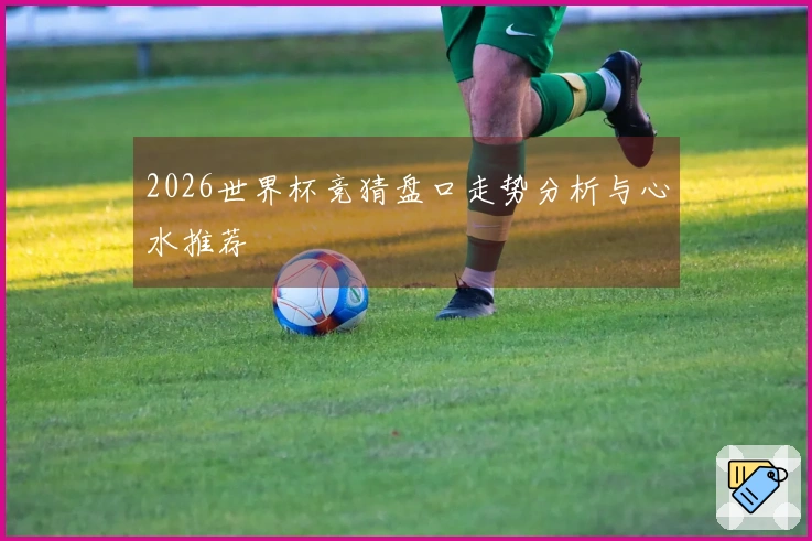 2026世界杯竞猜盘口走势分析与心水推荐