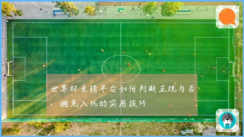 世界杯竞猜平台如何判断正规与否，避免入坑的实用技巧