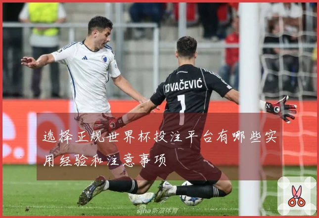 选择正规世界杯投注平台有哪些实用经验和注意事项