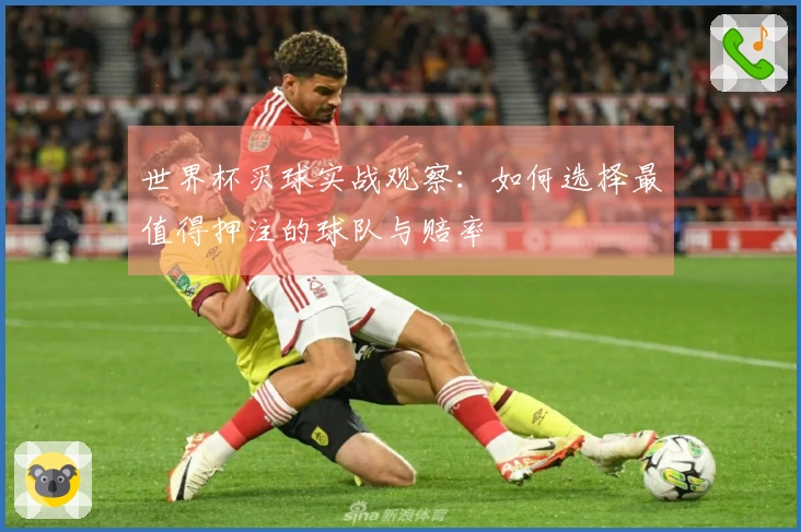 世界杯买球实战观察：如何选择最值得押注的球队与赔率