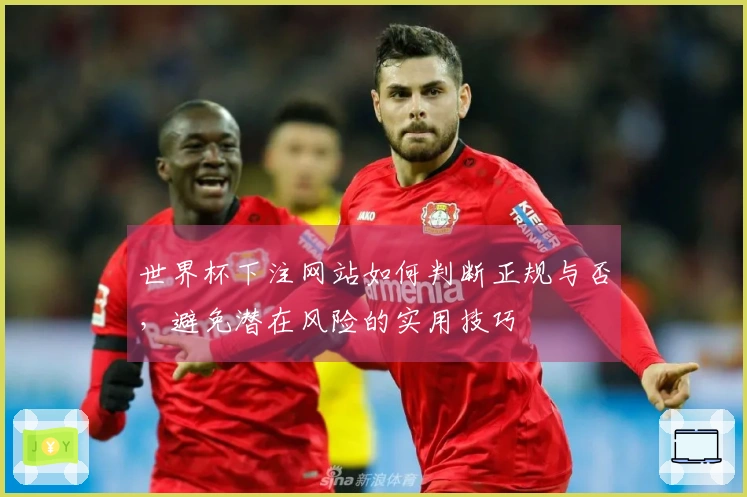 世界杯下注网站如何判断正规与否，避免潜在风险的实用技巧