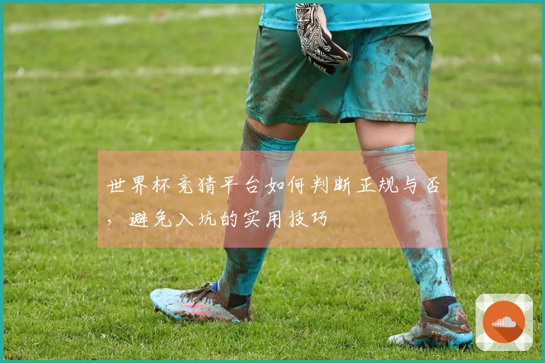 世界杯竞猜平台如何判断正规与否，避免入坑的实用技巧
