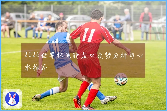 2026世界杯竞猜盘口走势分析与心水推荐