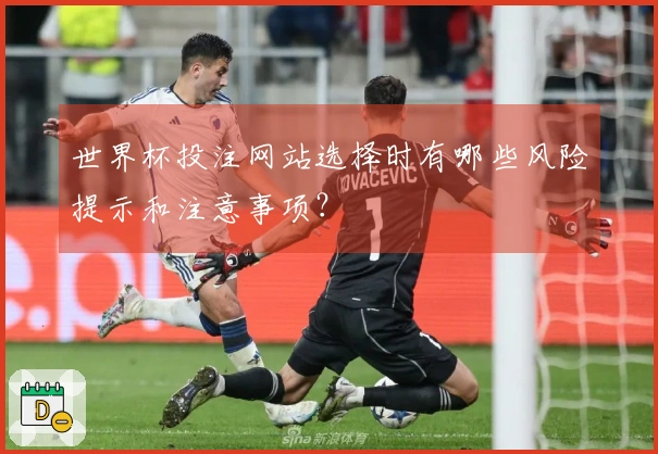 世界杯投注网站选择时有哪些风险提示和注意事项？