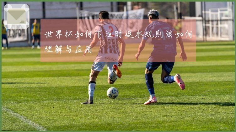 世界杯如何下注时返水规则该如何理解与应用
