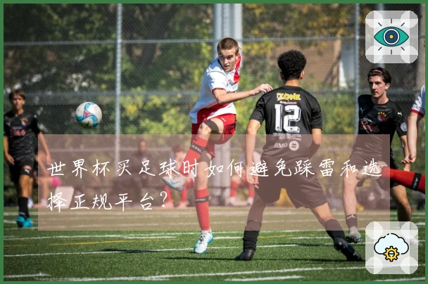 世界杯买足球时如何避免踩雷和选择正规平台？
