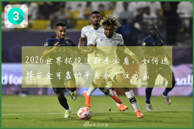 2026世界杯投注新手必看，如何选择安全可靠的平台和下注方式
