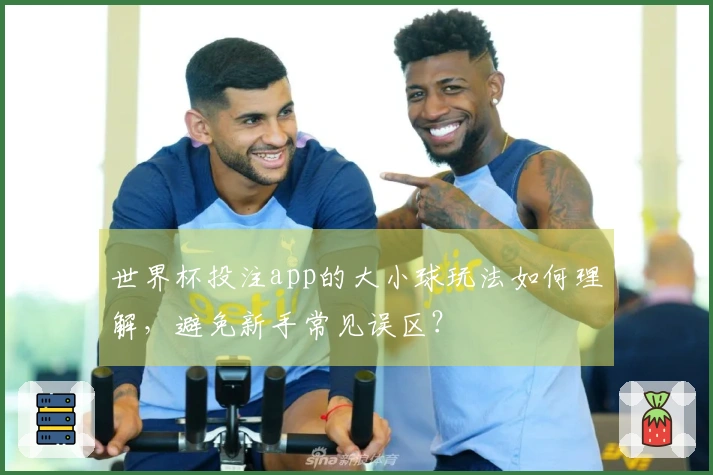世界杯投注app的大小球玩法如何理解，避免新手常见误区？