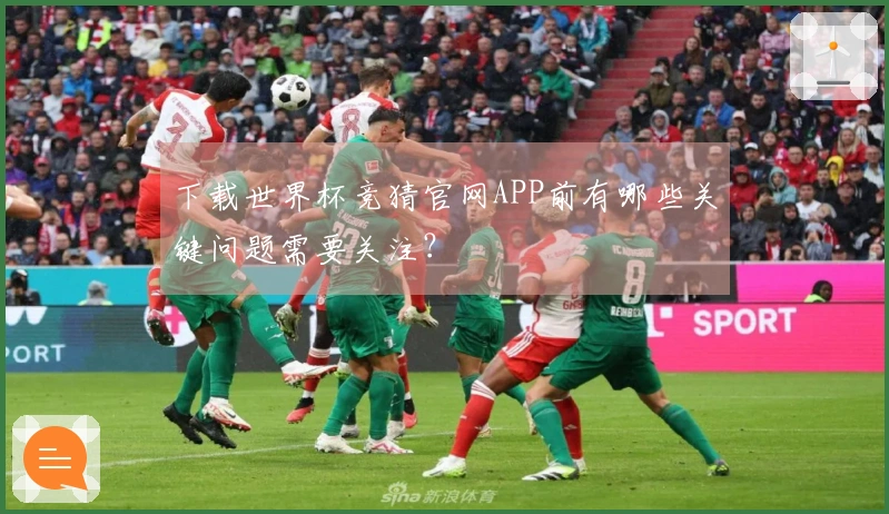 下载世界杯竞猜官网APP前有哪些关键问题需要关注？