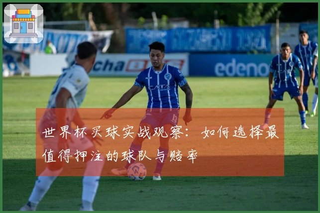 世界杯买球实战观察：如何选择最值得押注的球队与赔率