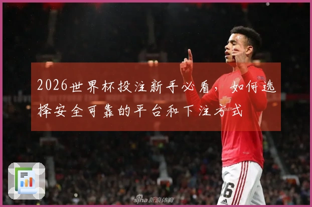 2026世界杯投注新手必看，如何选择安全可靠的平台和下注方式
