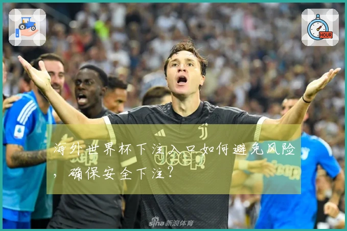 海外世界杯下注入口如何避免风险，确保安全下注？