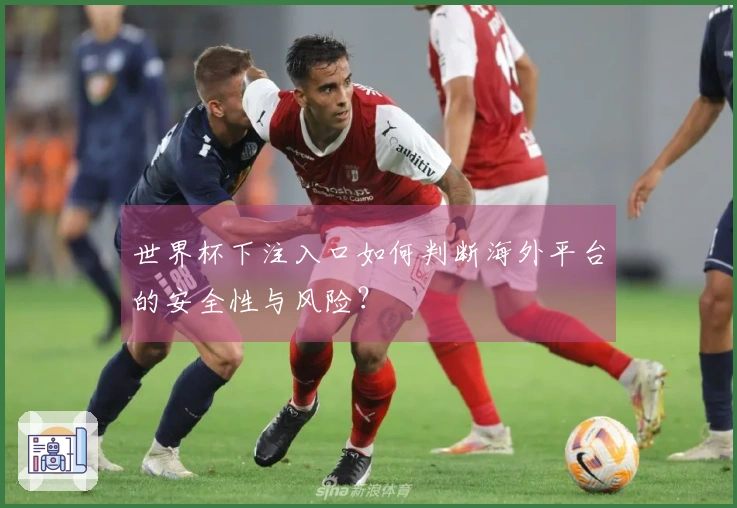 世界杯下注入口如何判断海外平台的安全性与风险？