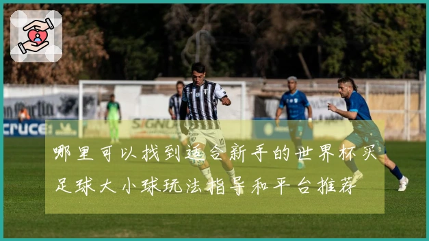 哪里可以找到适合新手的世界杯买足球大小球玩法指导和平台推荐