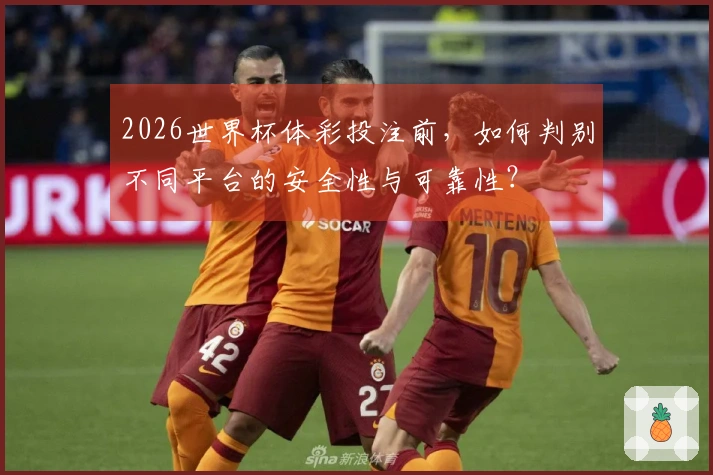 2026世界杯体彩投注前，如何判别不同平台的安全性与可靠性？