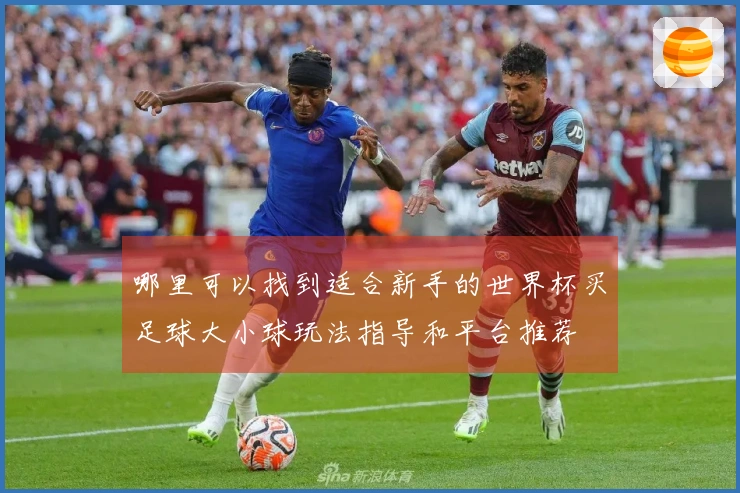 哪里可以找到适合新手的世界杯买足球大小球玩法指导和平台推荐