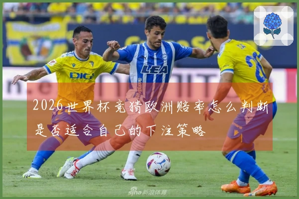 2026世界杯竞猜欧洲赔率怎么判断是否适合自己的下注策略