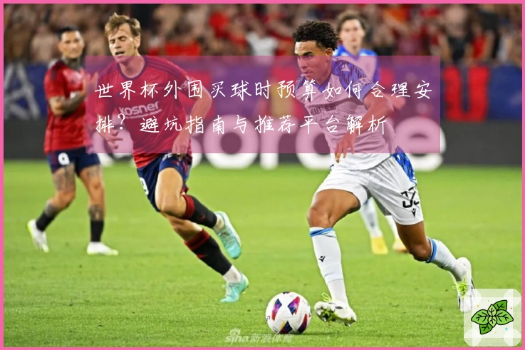 世界杯外围买球时预算如何合理安排？避坑指南与推荐平台解析