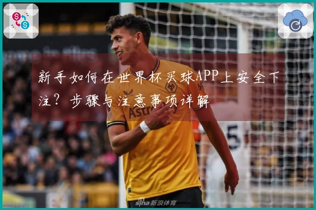 新手如何在世界杯买球APP上安全下注？步骤与注意事项详解