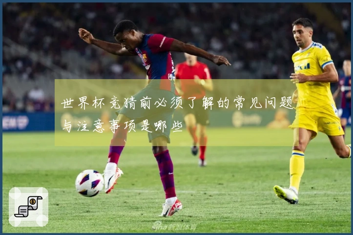 世界杯竞猜前必须了解的常见问题与注意事项是哪些