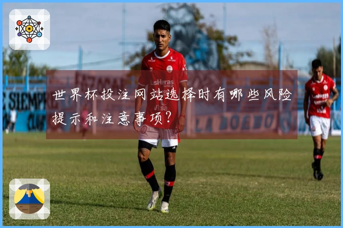 世界杯投注网站选择时有哪些风险提示和注意事项？