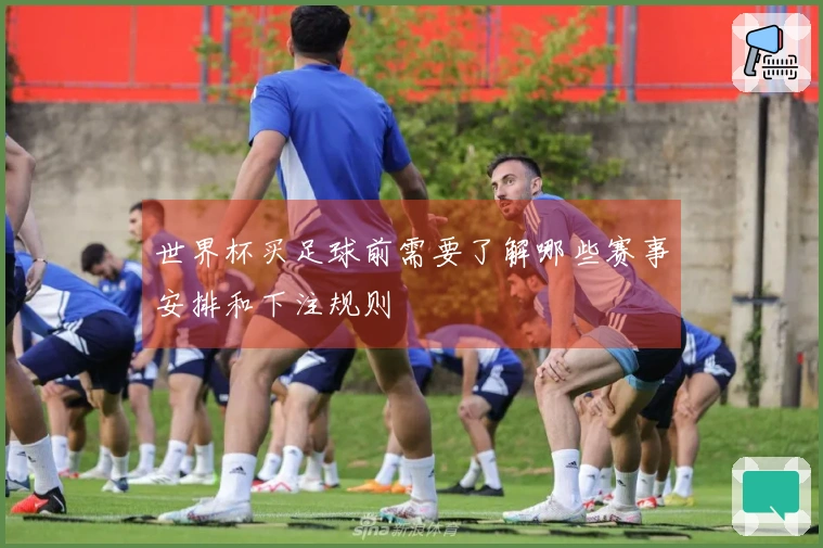 世界杯买足球前需要了解哪些赛事安排和下注规则
