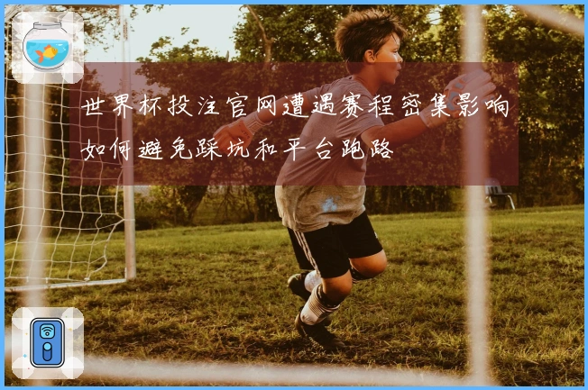 世界杯投注官网遭遇赛程密集影响如何避免踩坑和平台跑路