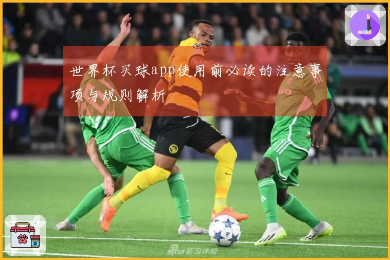 世界杯买球app使用前必读的注意事项与规则解析