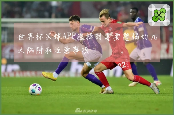 世界杯买球APP选择时需要警惕的几大陷阱和注意事项