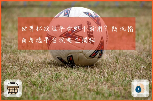 世界杯投注平台哪个好用？防坑指南与选平台攻略全揭秘
