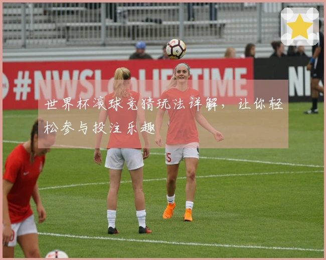世界杯滚球竞猜玩法详解，让你轻松参与投注乐趣