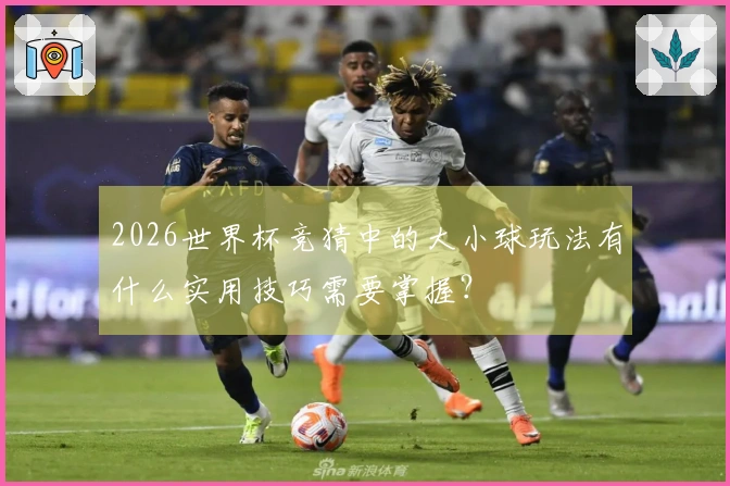 2026世界杯竞猜中的大小球玩法有什么实用技巧需要掌握？
