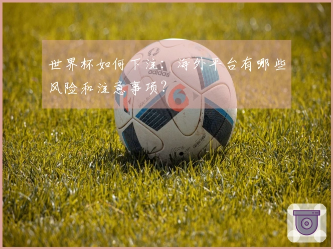 世界杯如何下注：海外平台有哪些风险和注意事项？