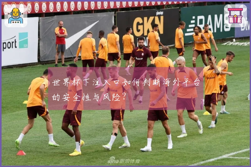 世界杯下注入口如何判断海外平台的安全性与风险？