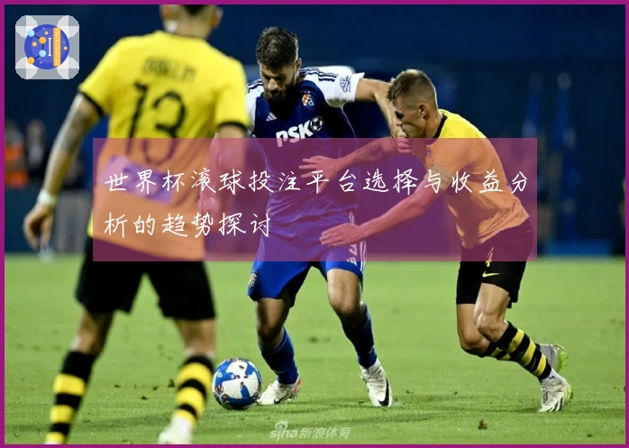 世界杯滚球投注平台选择与收益分析的趋势探讨