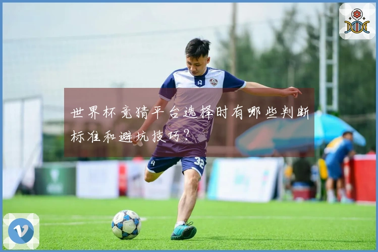 世界杯竞猜平台选择时有哪些判断标准和避坑技巧？