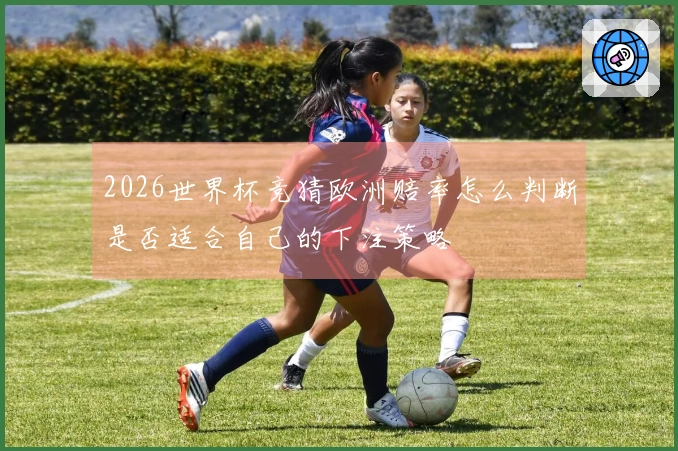 2026世界杯竞猜欧洲赔率怎么判断是否适合自己的下注策略