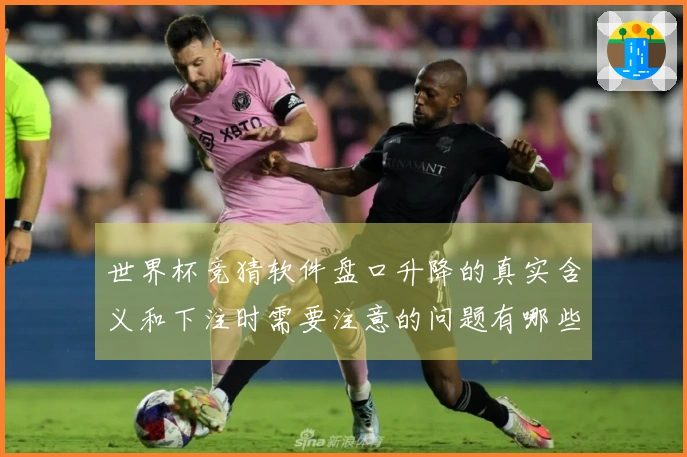 世界杯竞猜软件盘口升降的真实含义和下注时需要注意的问题有哪些